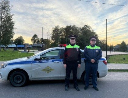 Полиция Пудожа нашла двух женщин, заблудившихся в лесу