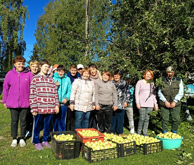 Яблоня Великогубского интерната принесла 120 килограмм плодов