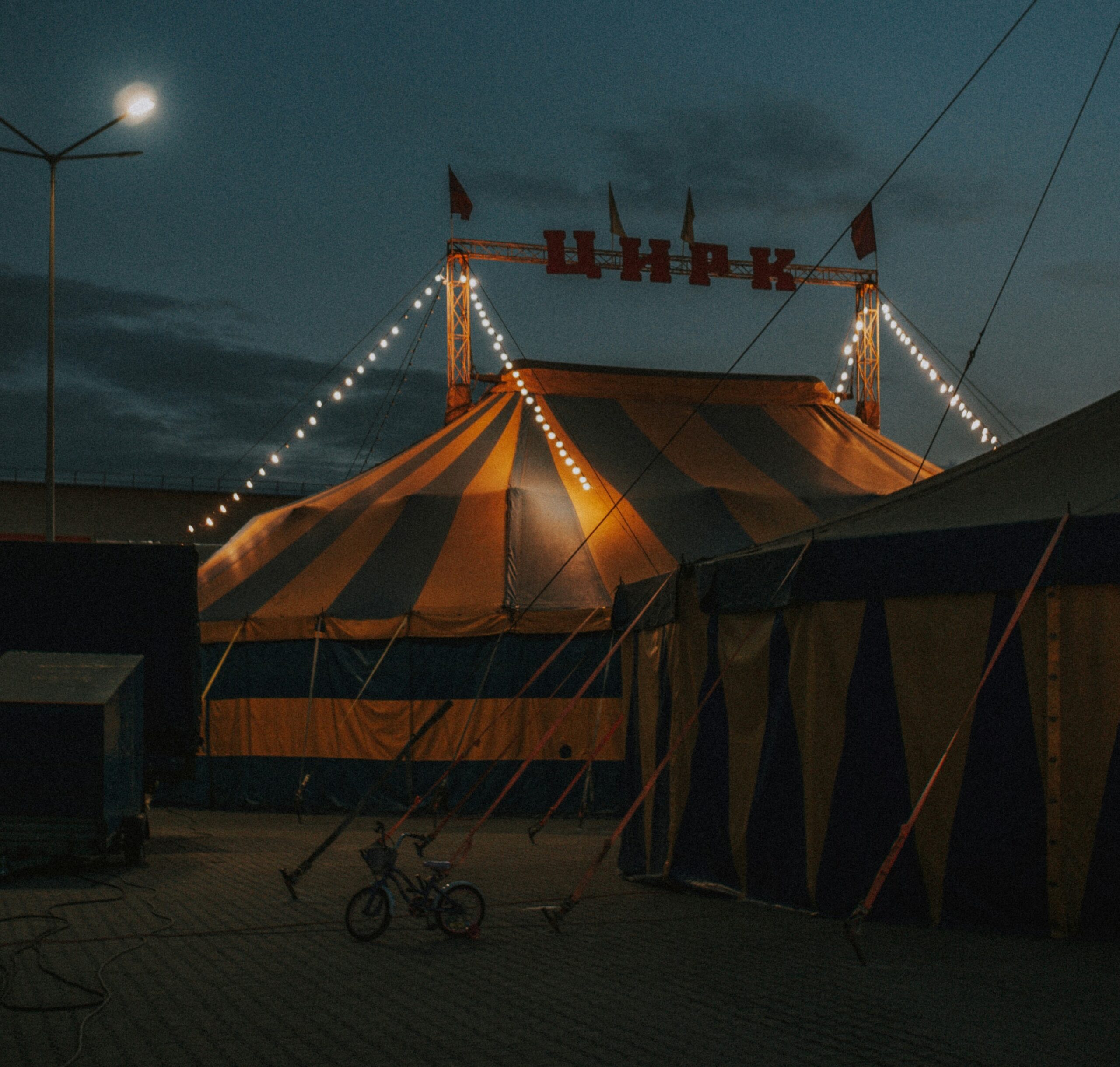 Цирк без правил: животные выступали без документов и лицензии