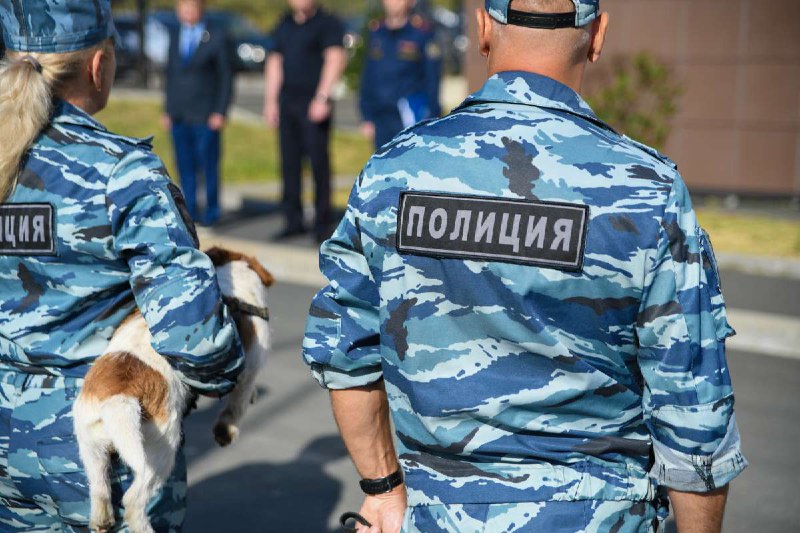 МВД Карелии: в республике снизилось количество преступлений