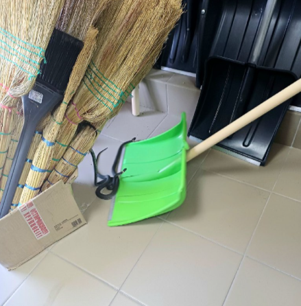 Пожарные Суоярви провели спецоперацию по отлову змей в магазине