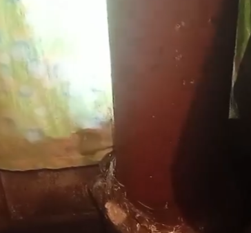 Беспредел: жилье без света и с долгами дали жителям поселка в Муезерском районе