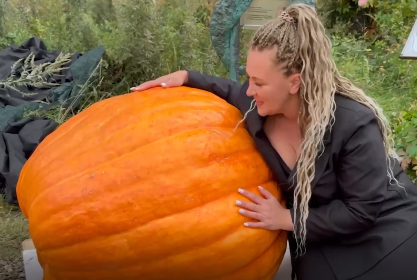 Подмосковный фермер вырастил тыкву весом почти в тонну