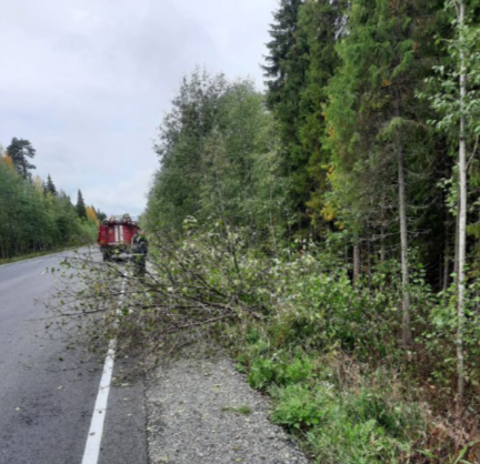 Автомобиль съехал в кювет на трассе \