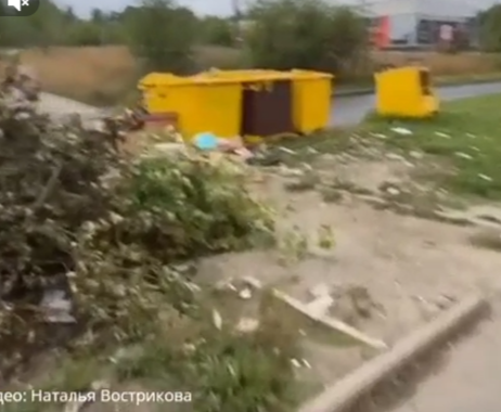 Дети третий год ходят в детсад через помойку с крысами в Петрозаводске