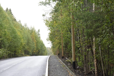 В Петрозаводске завершают ремонт проезда Тидена