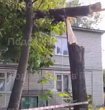 Дерево рухнуло на дом в отдаленном районе Петрозаводска