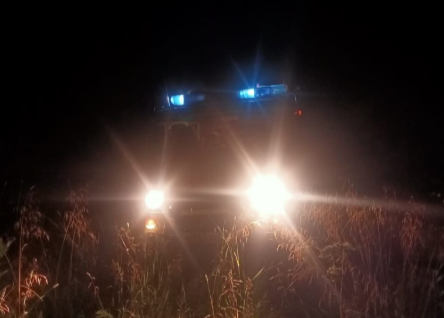 Пенсионер потерялся в лесу во время сбора грибов