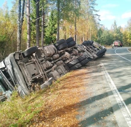 В Пряжинском районе лесовоз съехал в кювет и перевернулся
