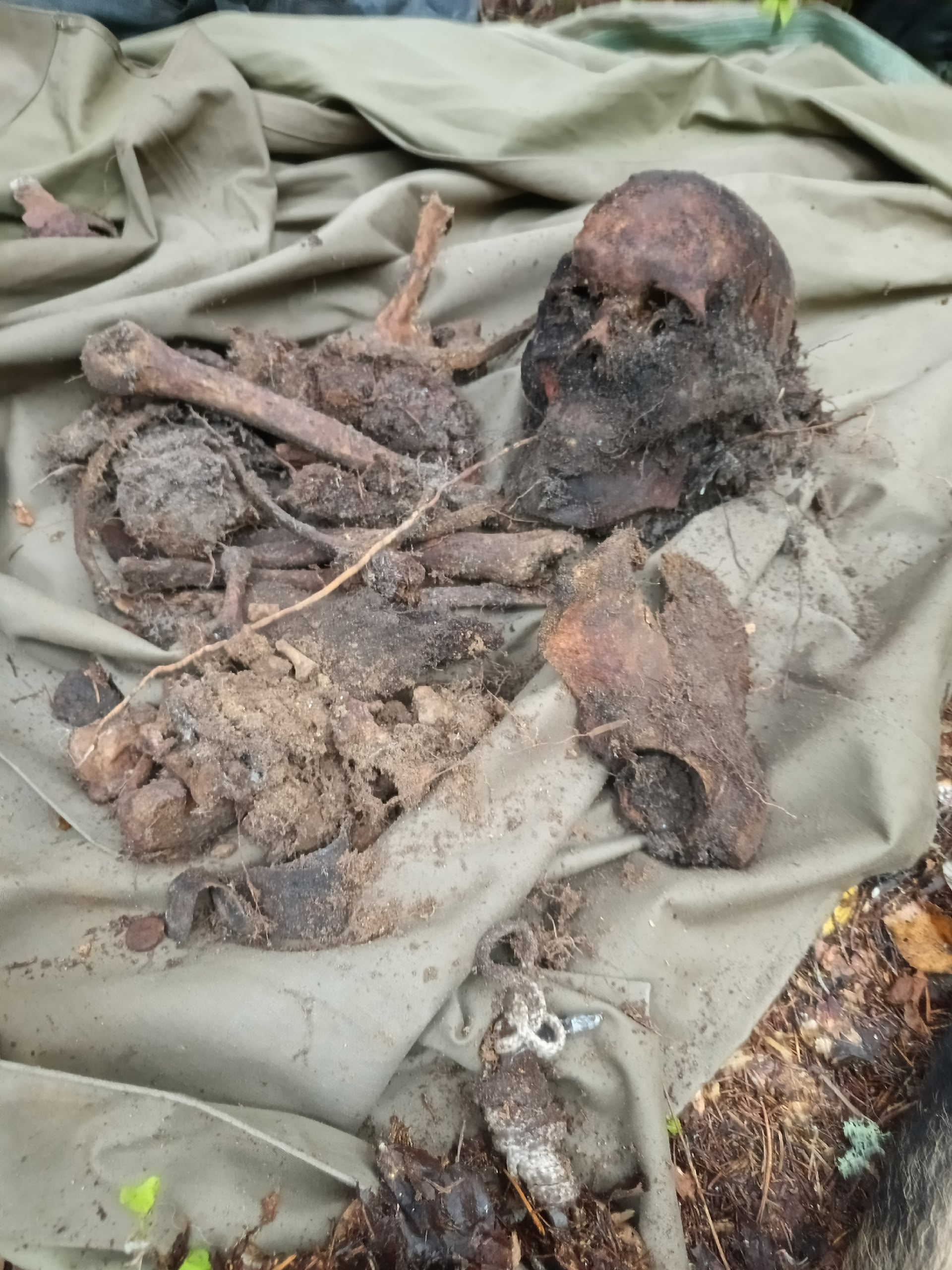 Известный поисковик в Карелии рассказал о безымянном, но поднятом герое