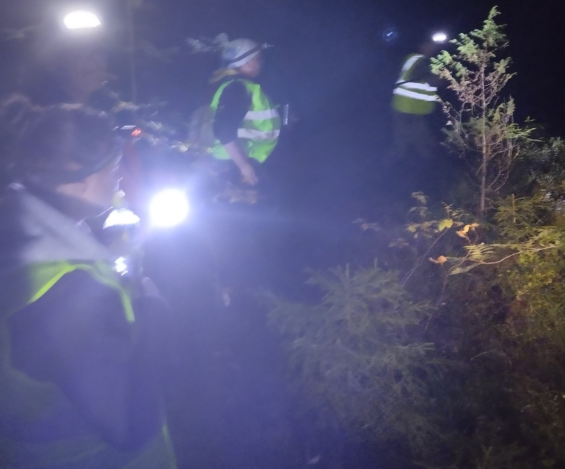 Отряд «Длинный Берег» просит помощи в поиске двух пенсионерок у села Михайловское