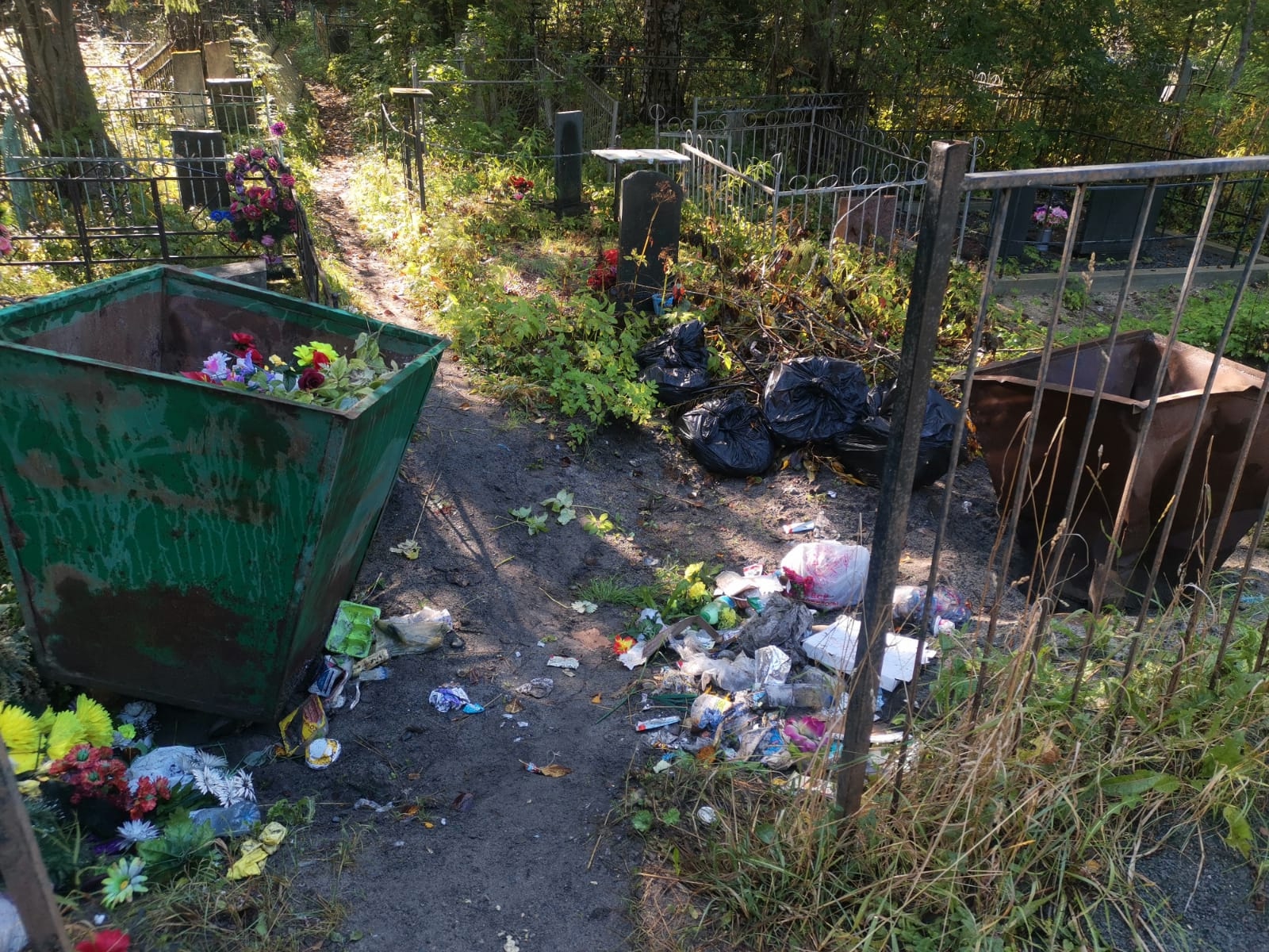 Не кормите медведей: власти просят не оставлять мусор на местах захоронений