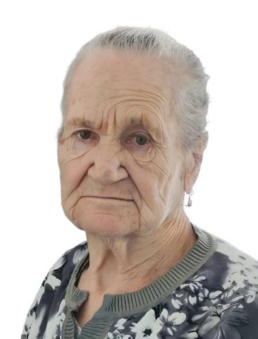 Добровольцев зовут на поиск пропавшей пенсионерки из дома-интерната в Карелии