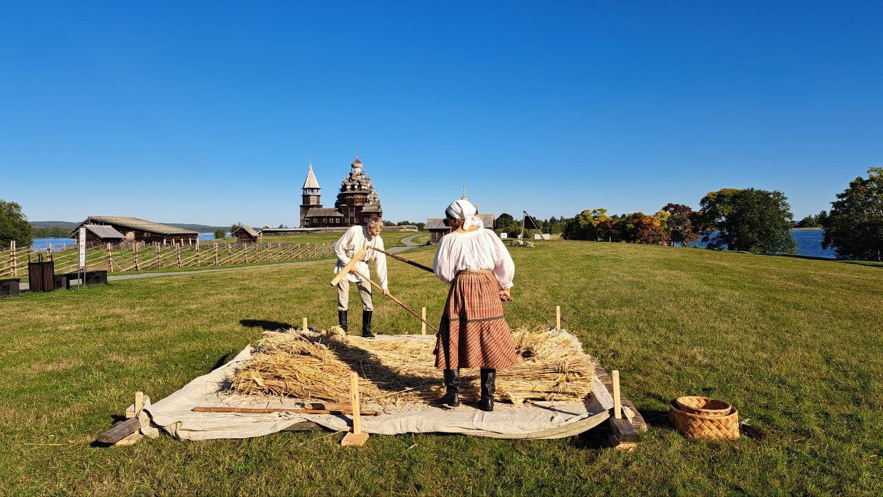 Музей Кижи приглашает гостей посмотреть на обмолот зерна
