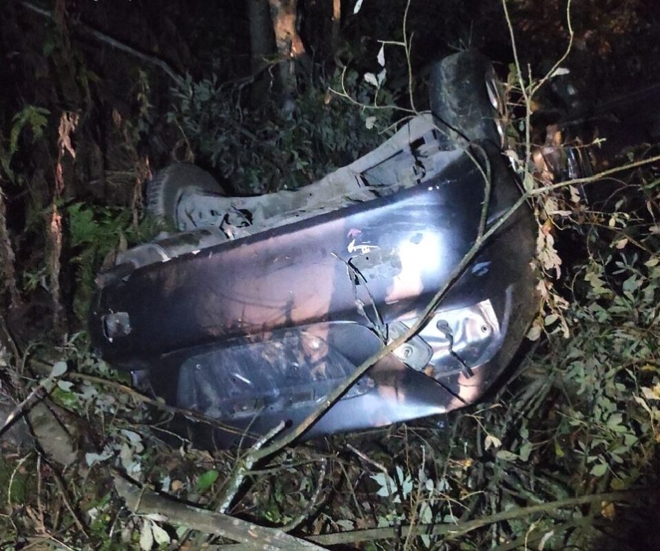 Полиция разбирается, как юноша уложил «японца» на крышу в одном из районов Карелии