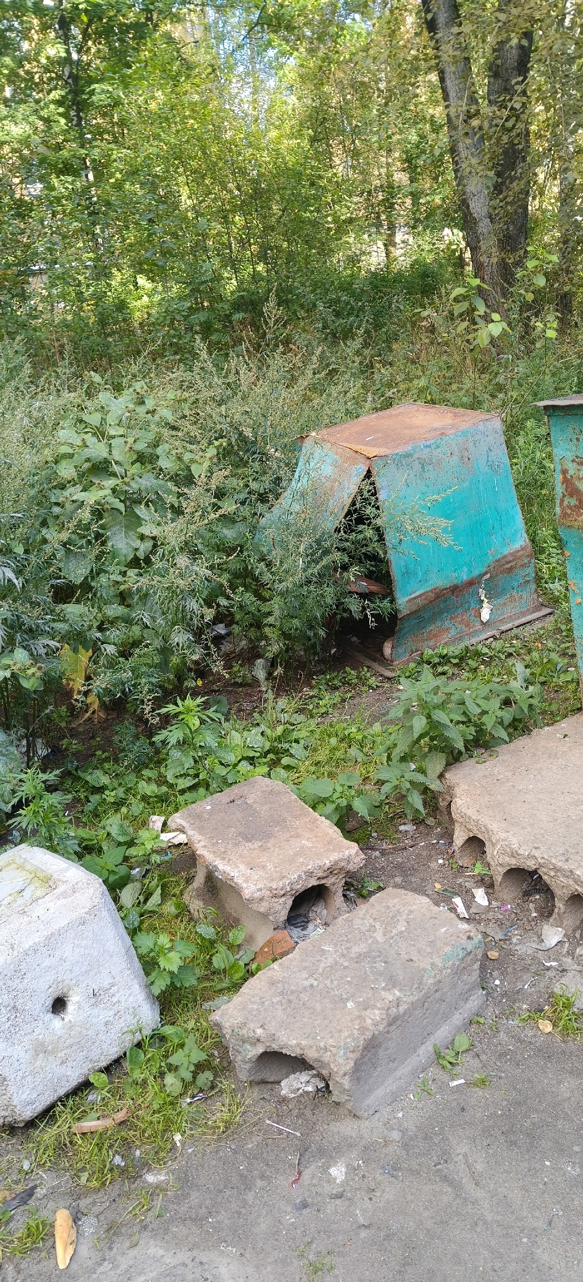 Жители Сегежи пожаловались на свалки и крыс в центре города