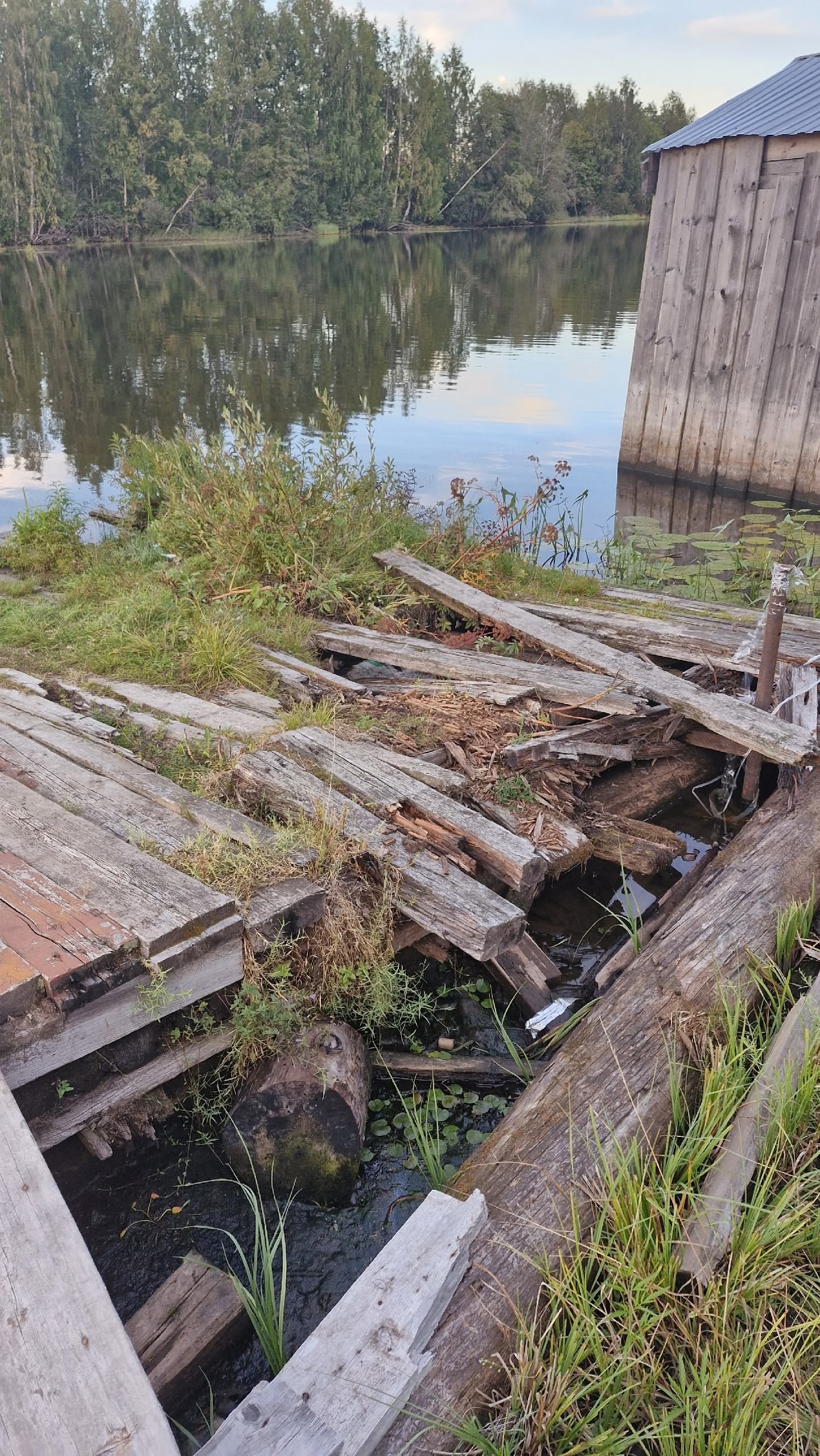 «Поселок превращается в помойку»: жители Пудожского района обратились к властям