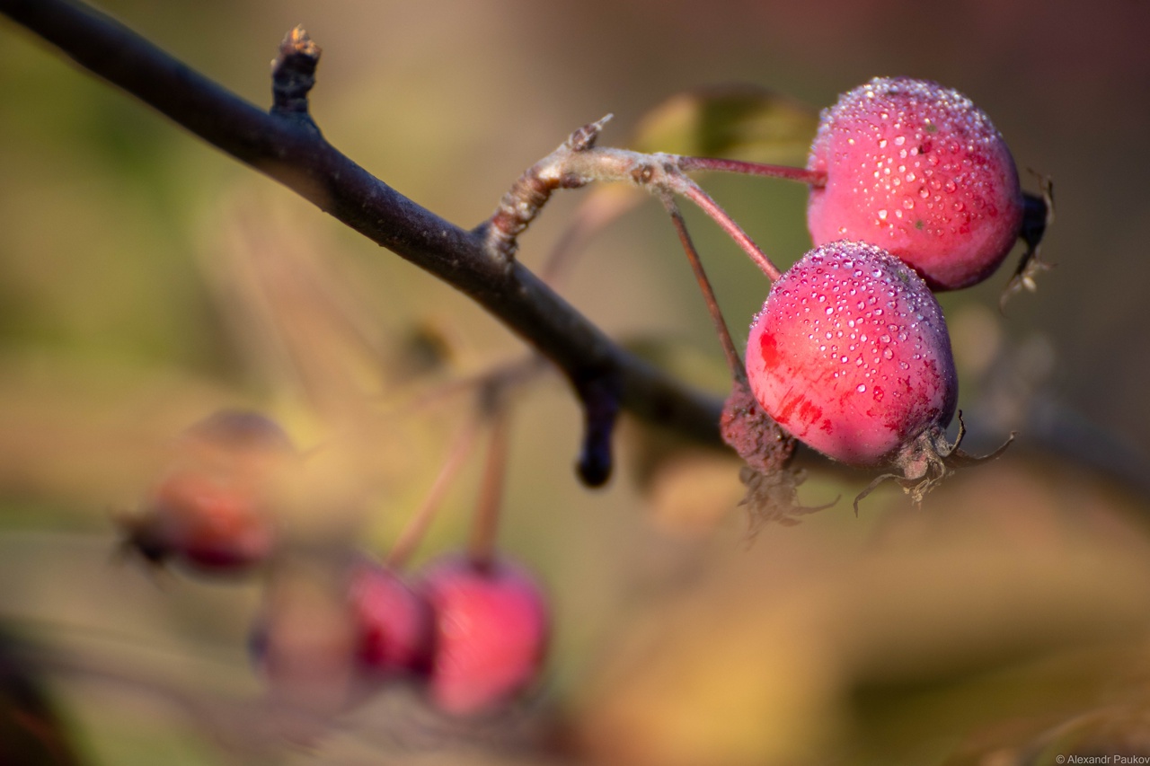 Антициклон уходит из Карелии, осень вступает в свои права