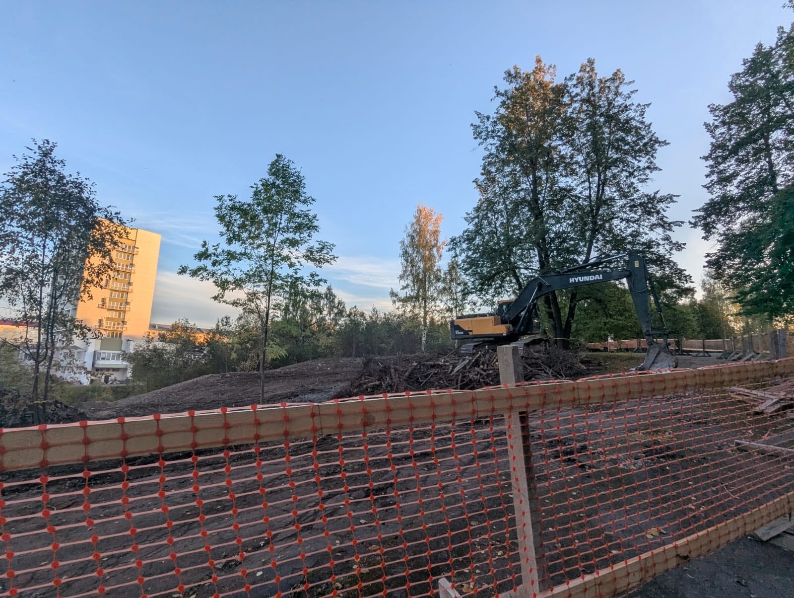 Что за депиляция парка? - в Петрозаводске варварски сносят деревья