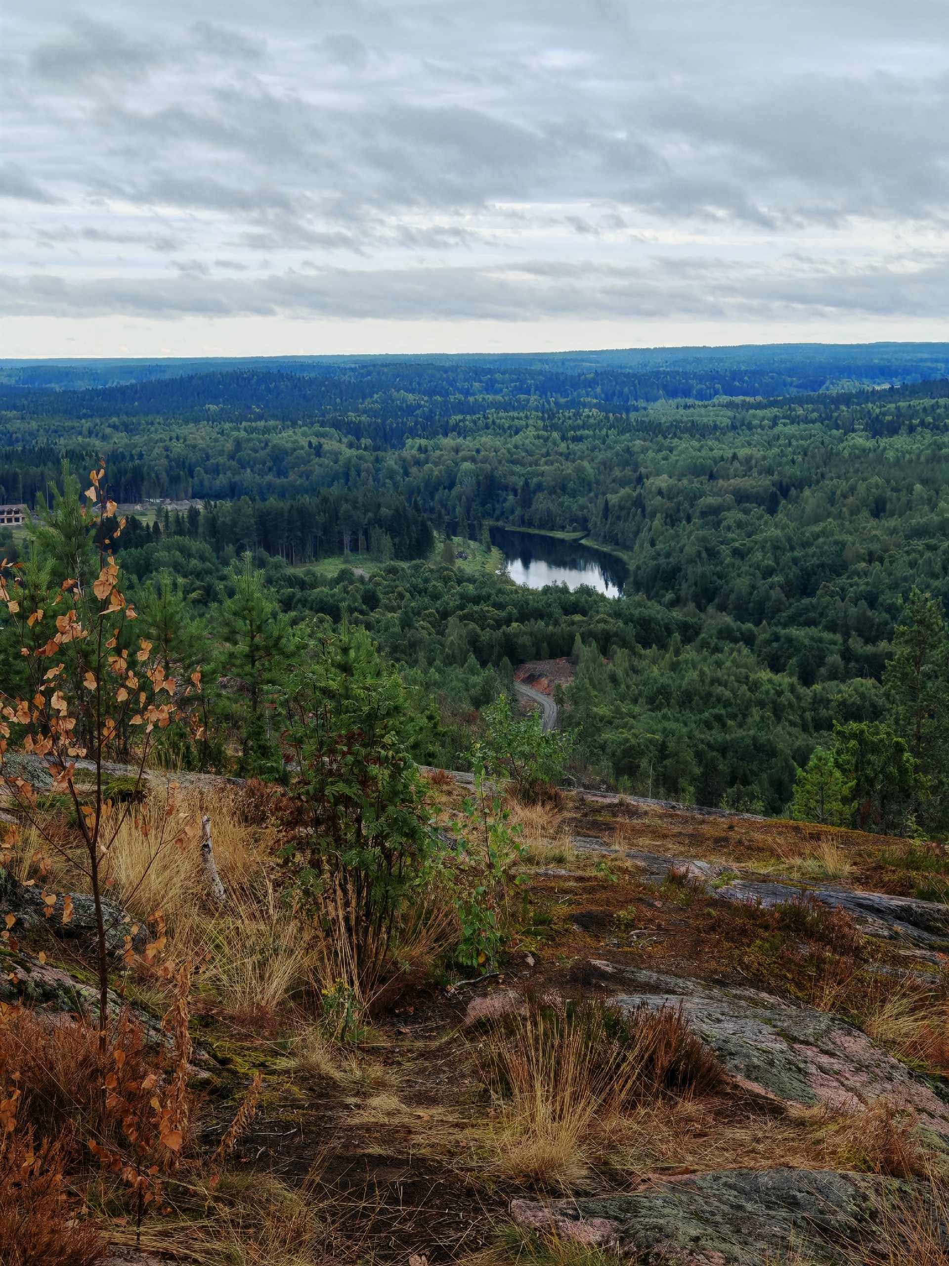 Стало известно, чем славится «гора Лешего» в Карелии