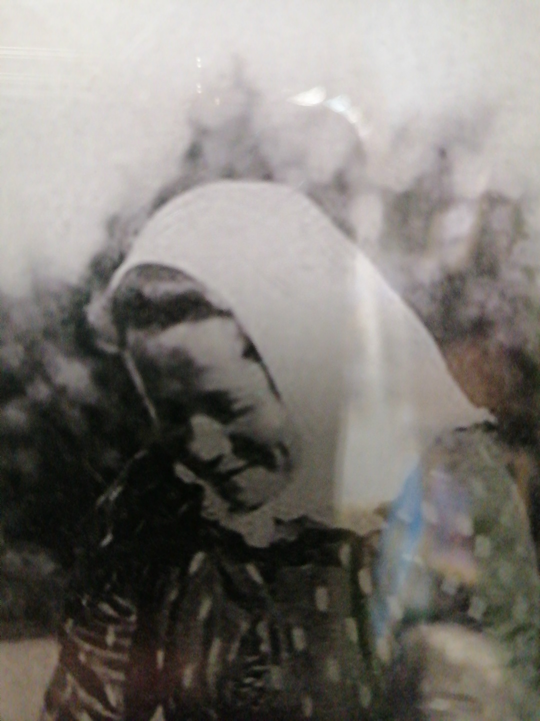 Как искали пару в Карелии в начале XX века: архивные находки