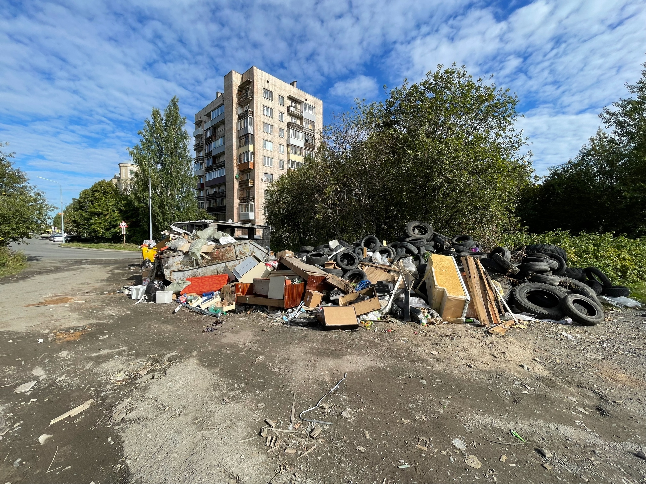 В Петрозаводске прокуратура выявила нарушения на мусорных площадках