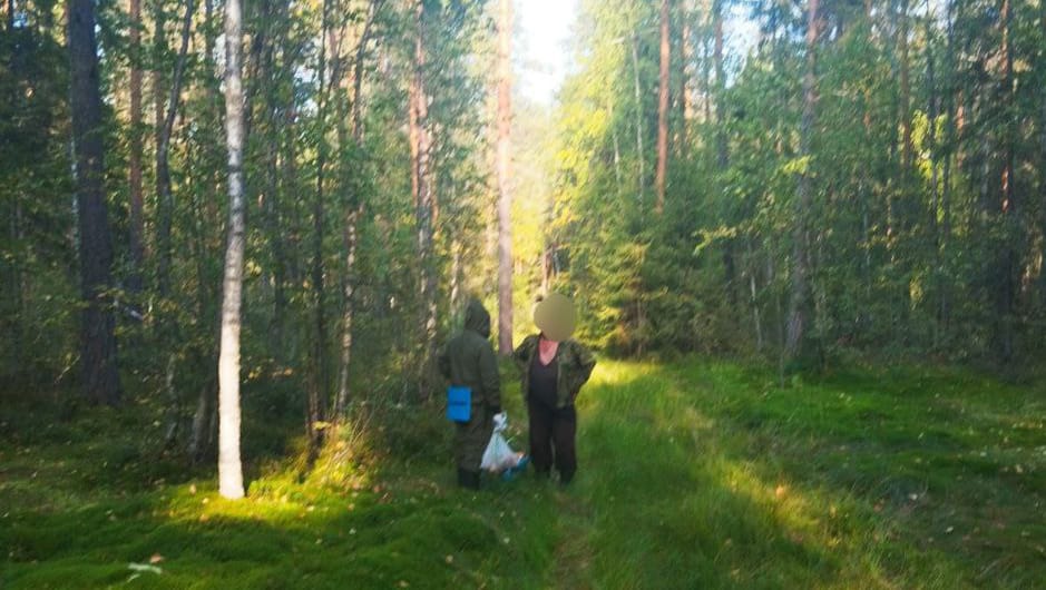 Спасатели вывели грибника из лесов Кондопожского района