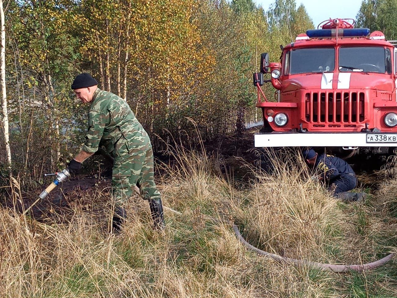 Огнеборцы локализовали пожар торфяника близ самой веселой деревни в Карелии