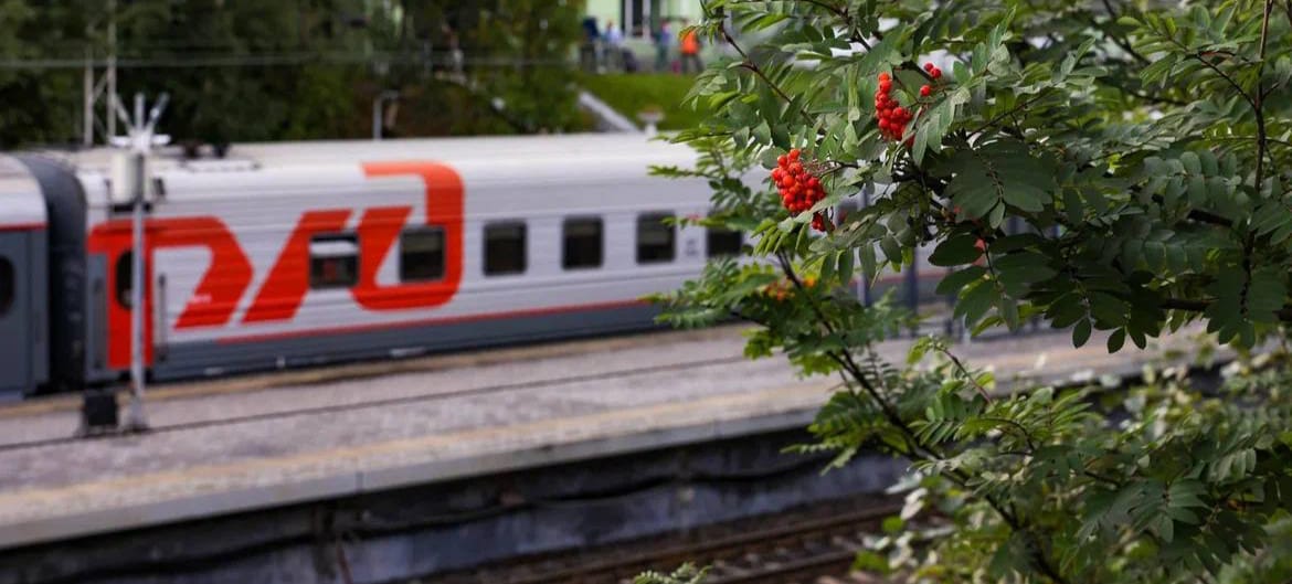 Пьют, ругаются, оскорбляют, хулиганят: транспортная полиция Карелии разбиралась с нарушителями общественного порядка