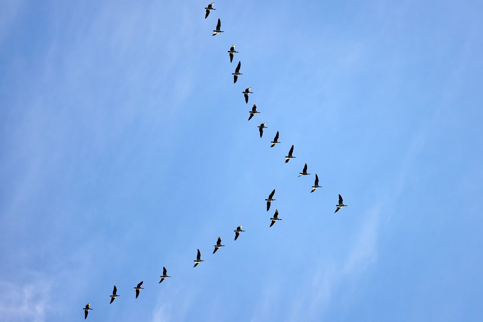 Путешественники устремились в регионы Серебряного ожерелья на ноябрьские праздники, в том числе и в Карелию