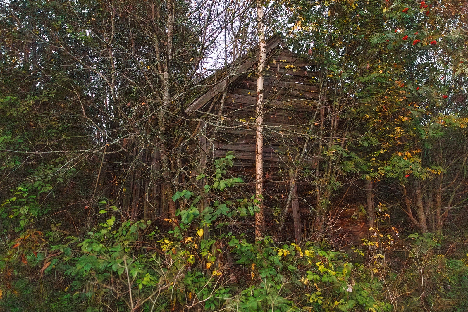 Илья Тимин: всегда есть место в Карелии для открытий и исследований