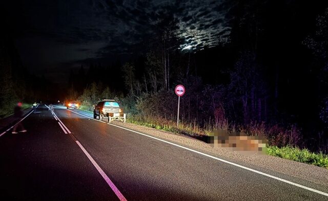 Иномарка насмерть сбила лося на трассе в Карелии