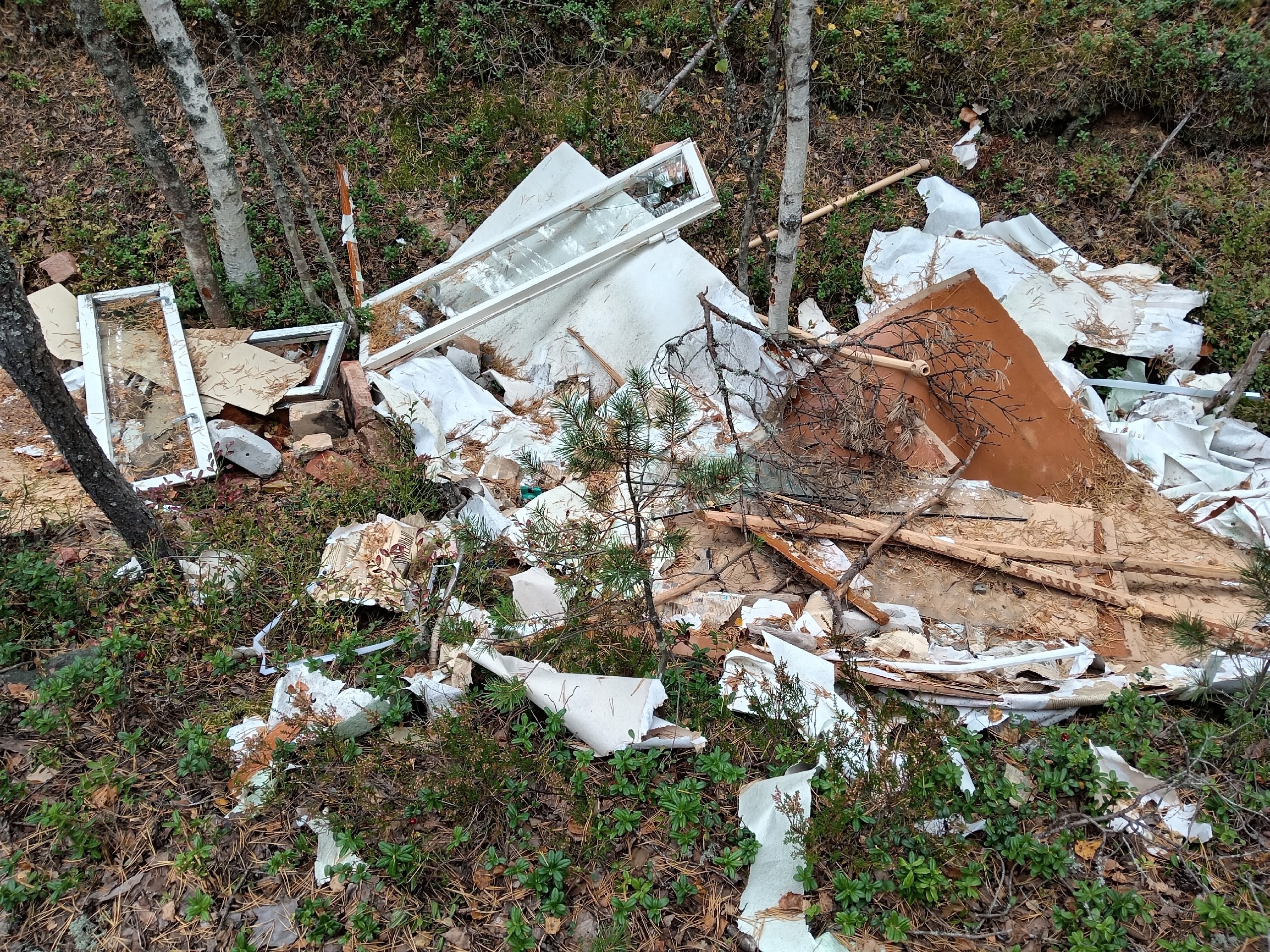 Незаконную свалку строительных отходов обнаружили в лесу под Тулоксой