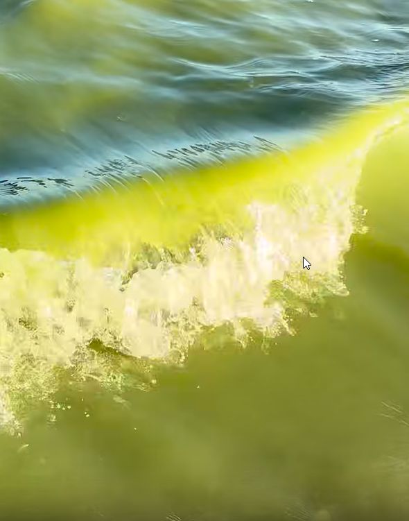 Резко пожелтевшее Онего напугало жителей Петрозаводска