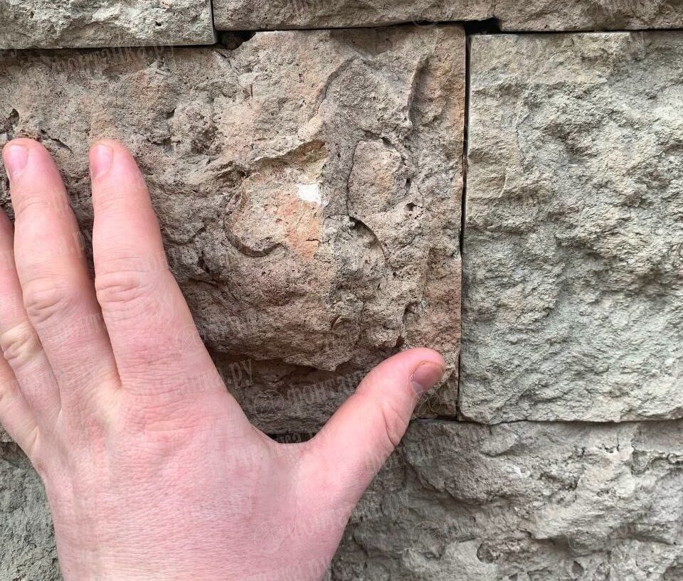 Вандалы похитили легендарный трилобит в переулке Санкт-Петербурга