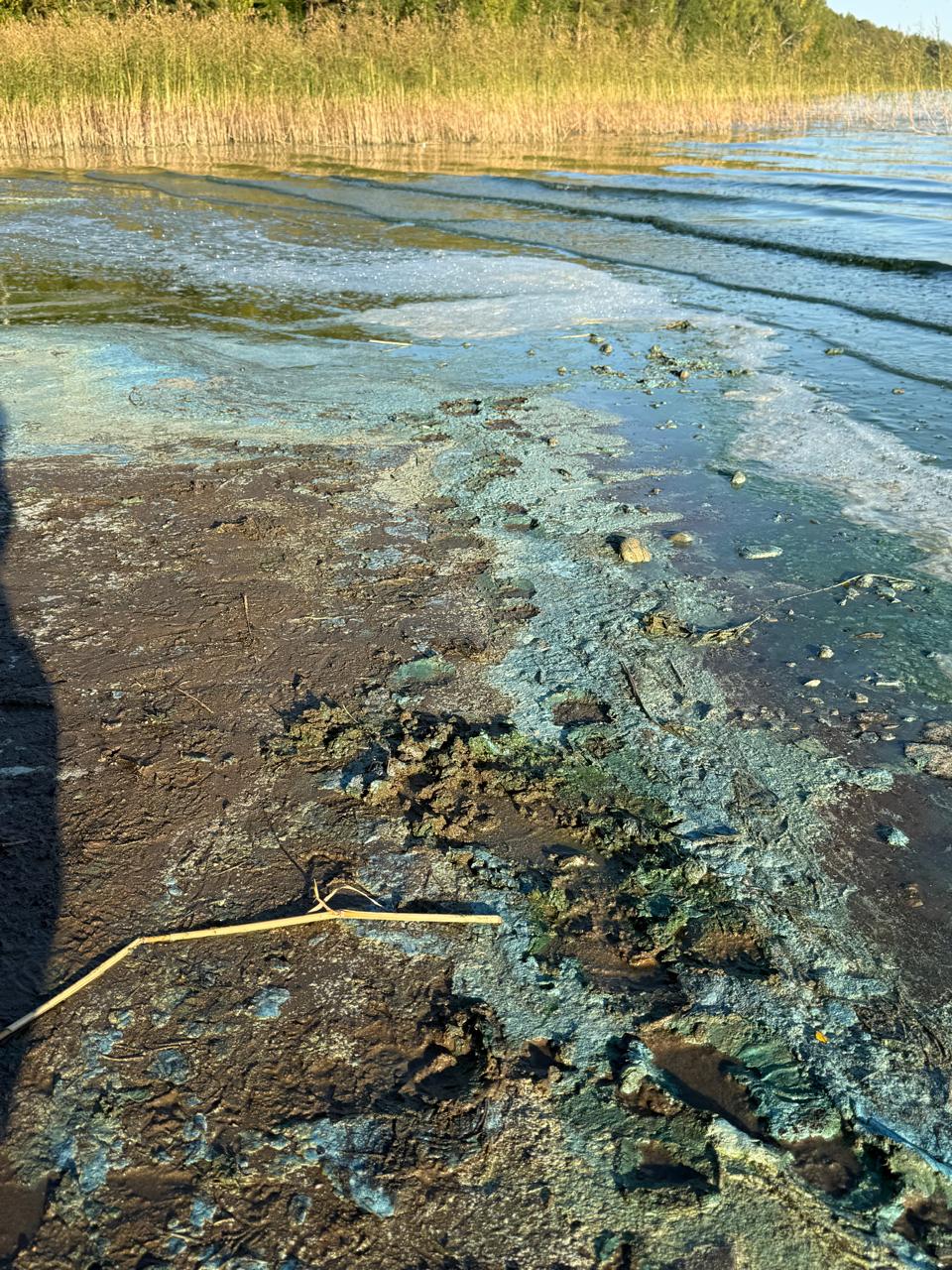 Красивейшее озеро в Карелии продолжает утопать в грязи