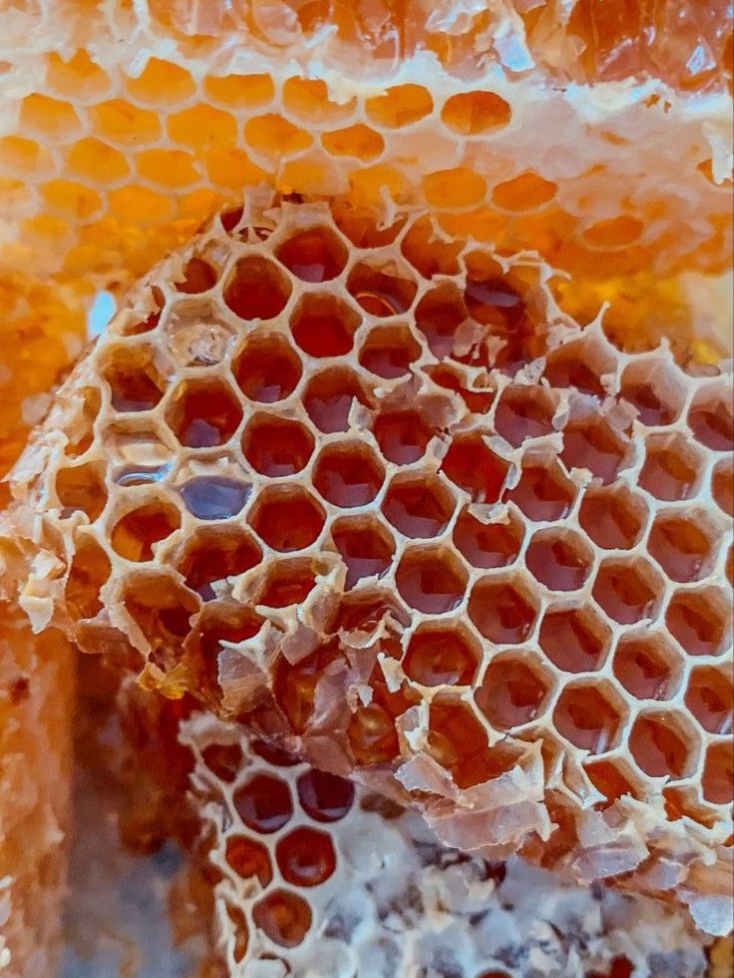 Пчеловоды Карелии поведали о целом ритуале здоровья