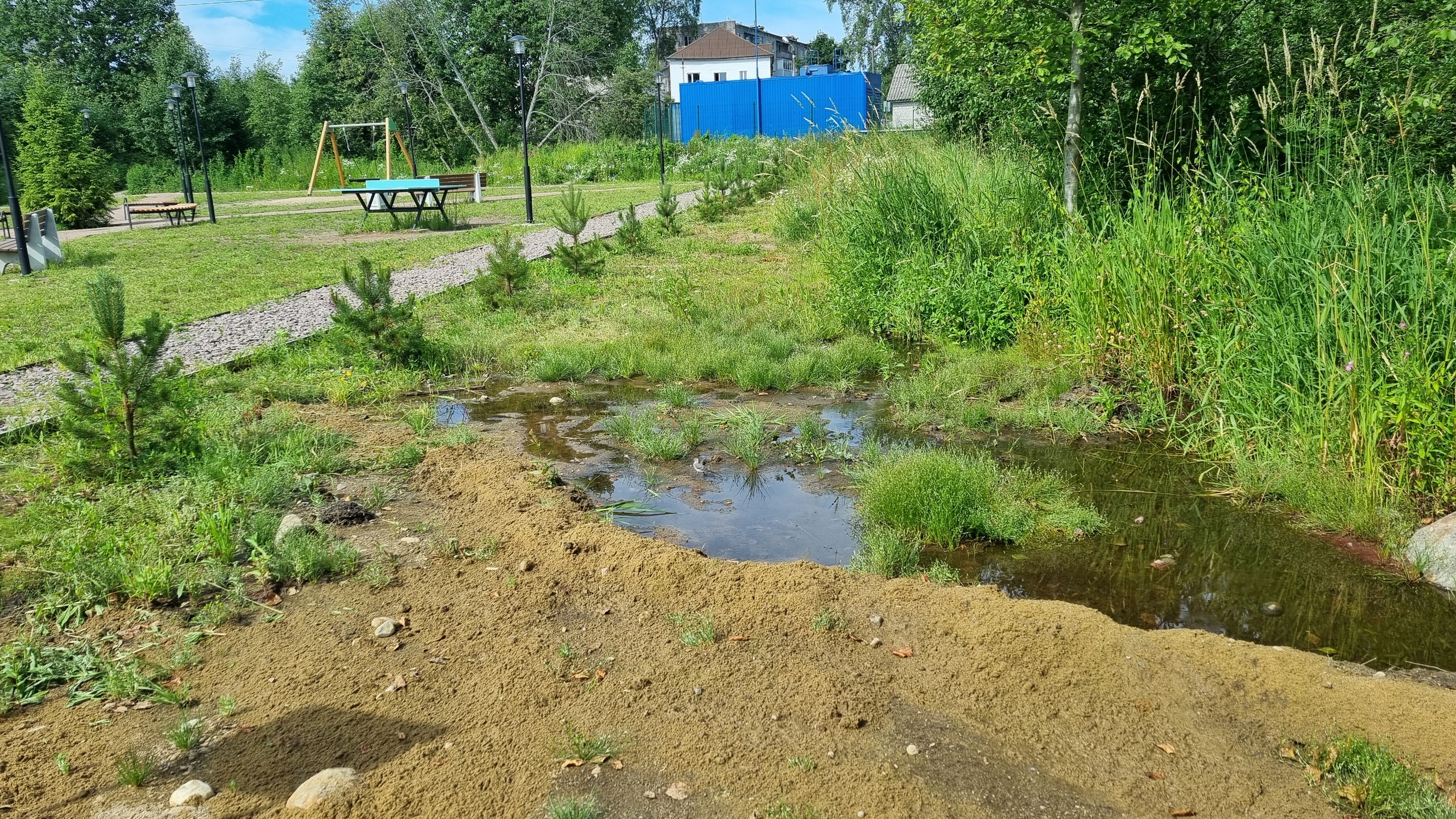 Общественница высказалась о состоянии Сада памяти в Лахденпохья