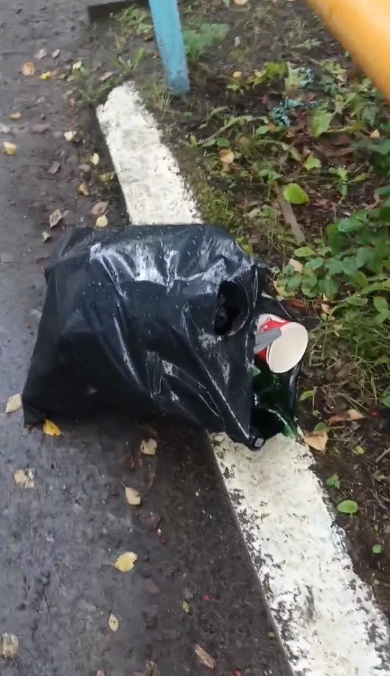 В Кеми снова обсудили проблему мусора во дворах