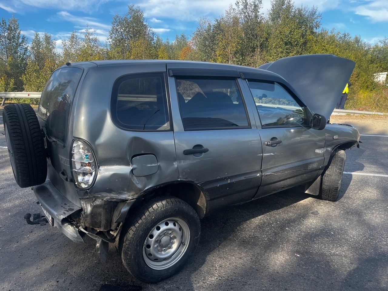 Автоледи за рулем иномарки протаранила дорожное ограждение в Костомукшском округе