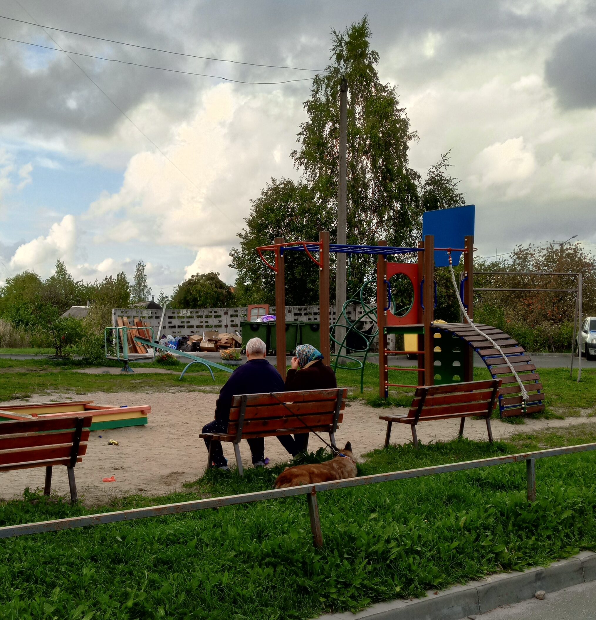 Пожилые женщины с собаками облюбовали детскую площадку в Петрозаводске