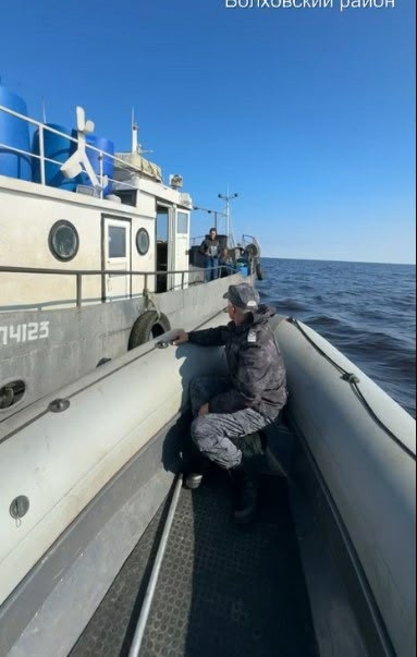 Браконьеры выловили почти три сотни судаков рядом с Карелией — за миллионный ущерб им грозит уголовное дело