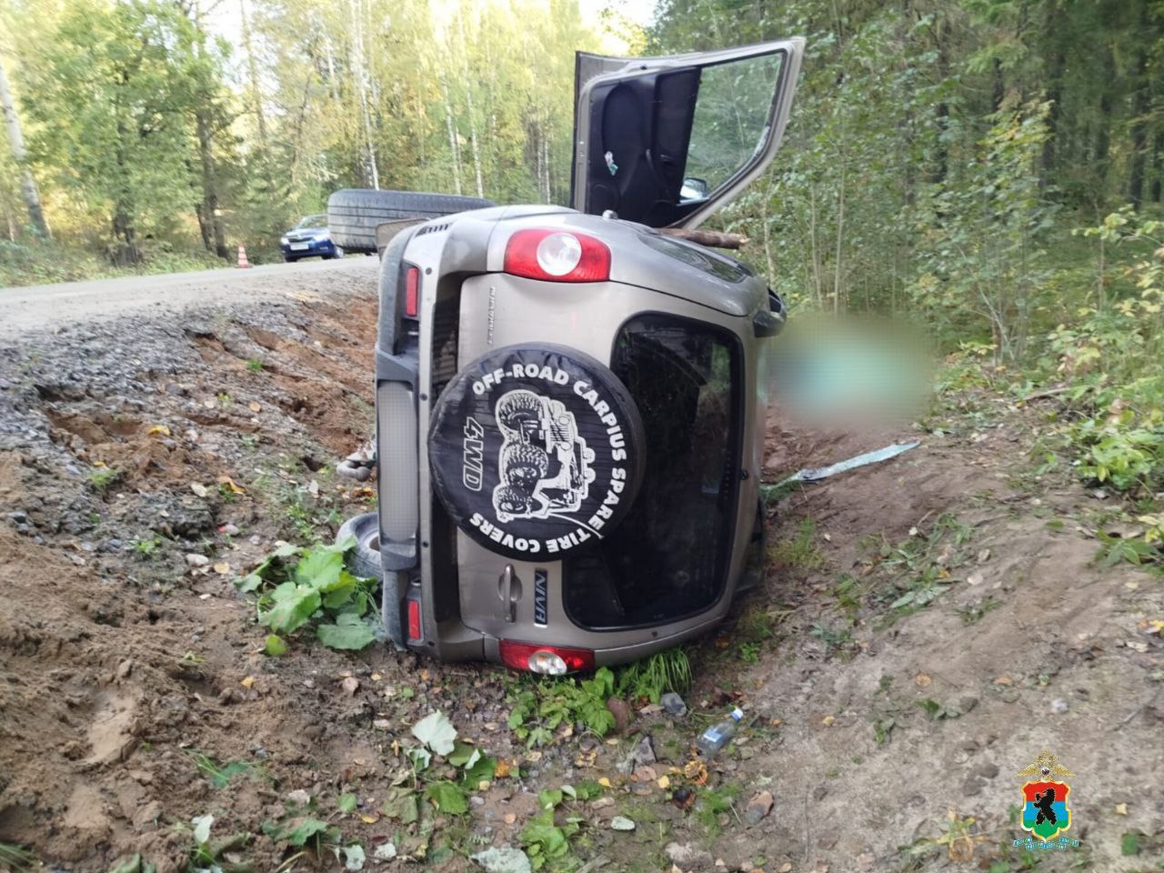 Водитель скончался на месте ДТП в Пудожском районе