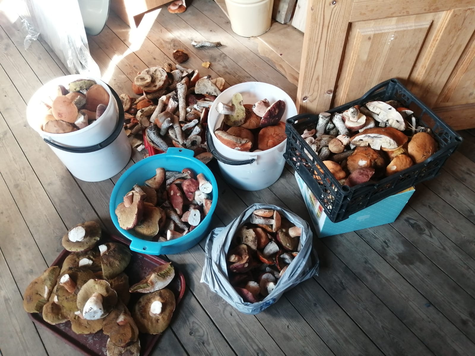 Медики Карелии сменили халаты на куртки и ринулись в леса