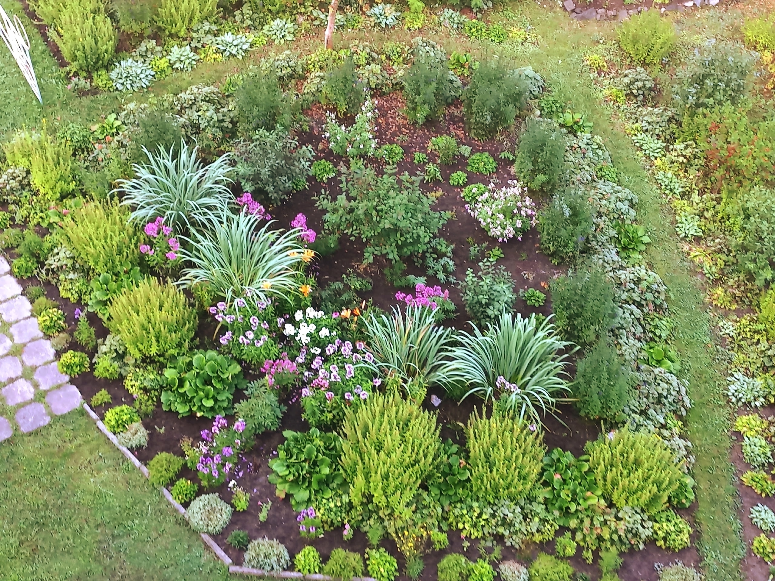 Жители дома в Беломорске превратили двор в дендрарий