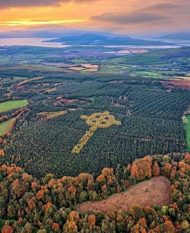 Осень открыла секрет лесничего: в Ирландии деревья высажены в форме гигантского кельтского креста