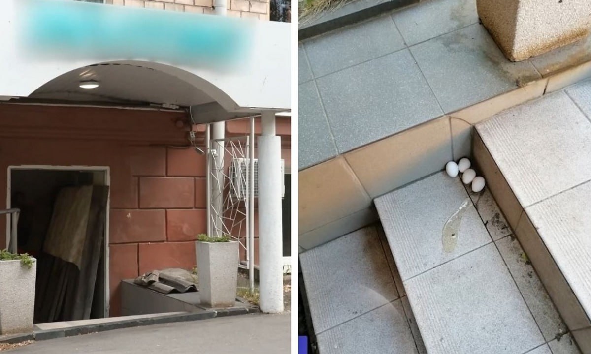 Известную медицинскую лабораторию выжили из здания в центре Петрозаводска