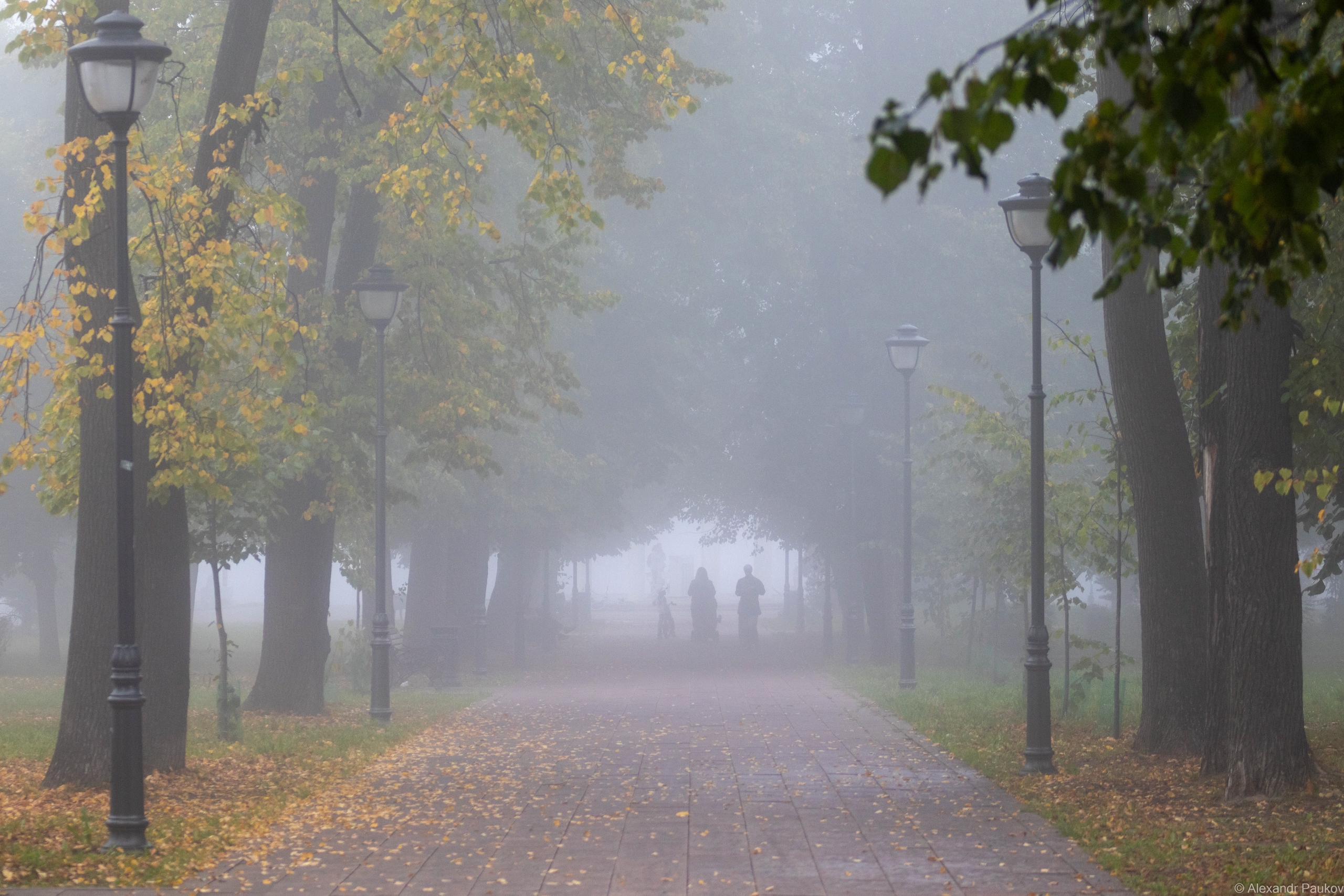 Заморозки и снег надвигаются на Карелию