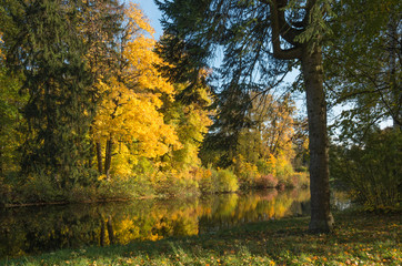 Температурный летний рекорд 89-летней давности побит в Карелии