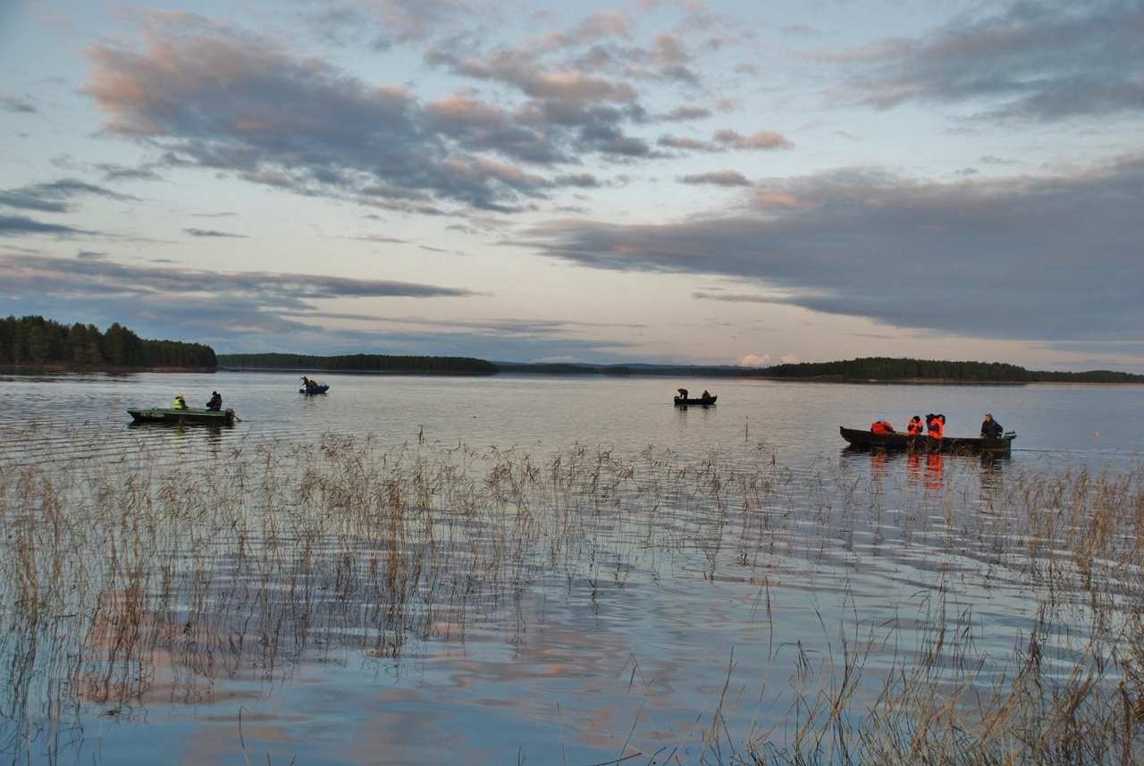 Фестиваль ряпушки проведут в Вокнаволоке